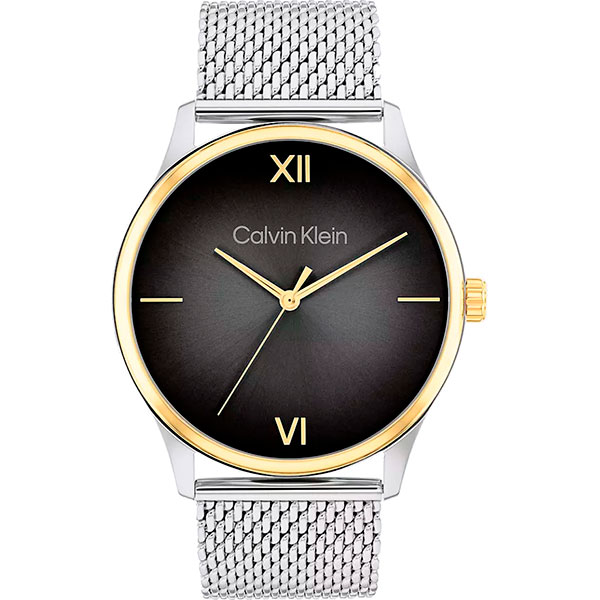 Часы Calvin Klein Ascend 25200452
